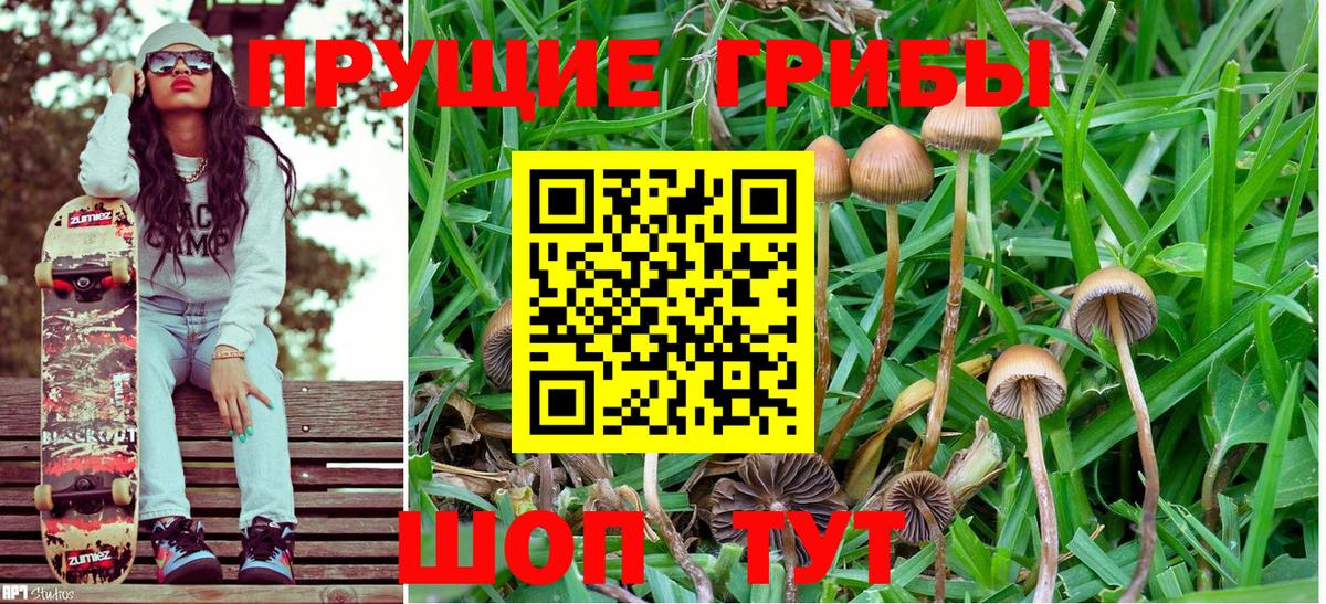 Псилоцибиновые грибы мицелий Рузаевка